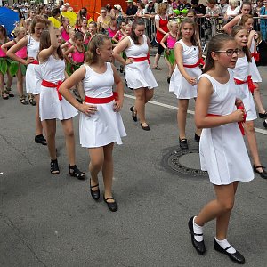 Umzug Sachsen-Anhalt-Tag 