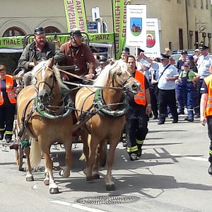 Umzug Sachsen-Anhalt-Tag 