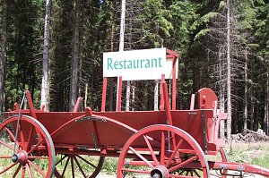 Ambiente im Harz