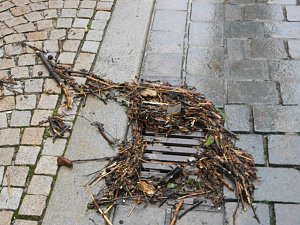 Am Mittwoch in Wernigerode