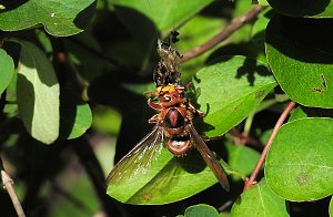 Zu Gast im Tierpark Dessau