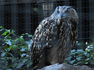 Zu Gast im Tierpark Dessau