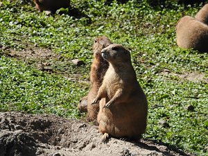 Zu Gast im Tierpark Dessau