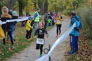 24. Stadtparklauf in Sondershausen (1)