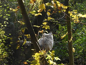 Peter Blei im Bärenpark Worbis