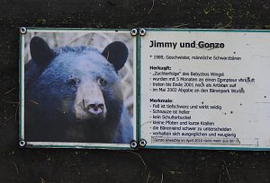 Peter Blei im Bärenpark Worbis