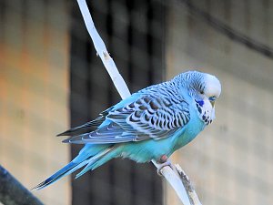 Peter Blei im Bärenpark Worbis