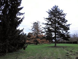 Abstecher in den Wörlitzer Park