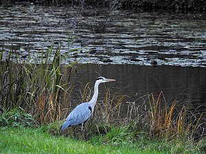 Abstecher in den Wörlitzer Park