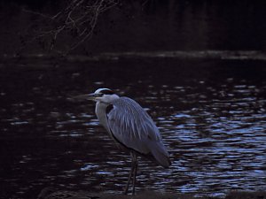 Abstecher in den Wörlitzer Park