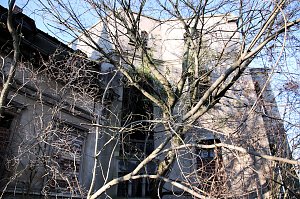 Alte Mühle in Jeßnitz