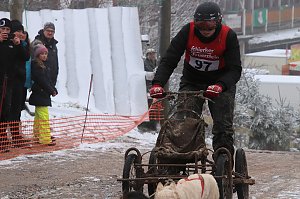 Schlittenhunderennen in Pullmann City II