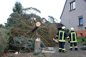 Nun ist er keine Gefahr mehr