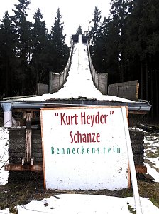 Schlittenhunde rennen rund um Benneckenstein