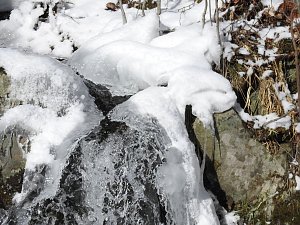 Peter Blei unterwegs im Harz