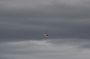 Flugtage bei Hain