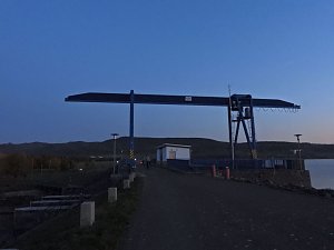 Das Sterben der Fische