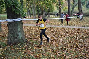 26. Stadtparklauf Sondershausen und...
