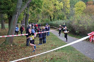 26. Stadtparklauf Sondershausen und...