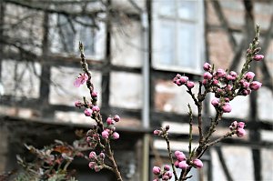 Saison er&ouml;ffnet 