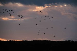 Peter Blei unterwegs am Stausee Kelbra