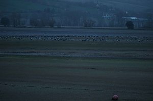 Peter Blei unterwegs am Stausee Kelbra
