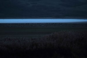 Peter Blei unterwegs am Stausee Kelbra