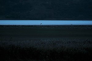 Peter Blei unterwegs am Stausee Kelbra