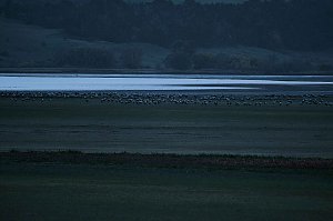 Peter Blei unterwegs am Stausee Kelbra