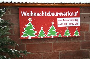 Weihnachtsbäume zum Advent in Kelbra