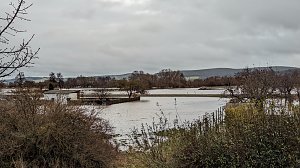 Land unter in Windehausen - Dezember 2023