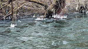 Winter an der Zorge