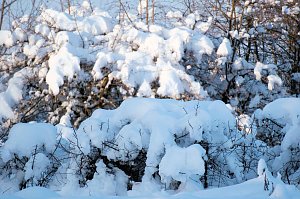 Wunderbare Winterlandschaft bei Benneckenstein