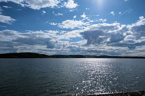 Flora und Fauna am Stausee Kelbra