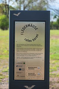 Flora und Fauna am Stausee Kelbra