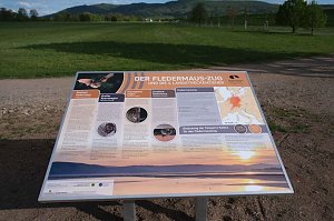 Flora und Fauna am Stausee Kelbra