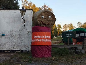 Peter Blei beim Waldspaziergang