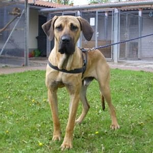 Bild: Lennox