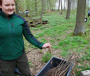 Bild: Forstingenieurin Kathrin Jakob verteilte die Roteichen. Die Fachfrau beantwortete viele Fragen interessierter Waldfreunde.