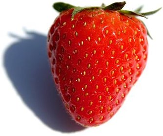 Erdbeere (Foto: Wikipedia)