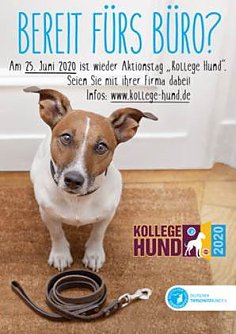 Aktionstag Kollege Hund (Foto: Deutscher Tierschutzbund e.V.)