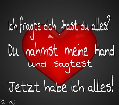 Liebe f&uuml;rs Leben (Foto: )