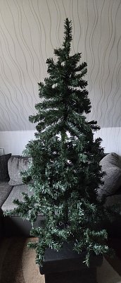 Baum (Foto: )