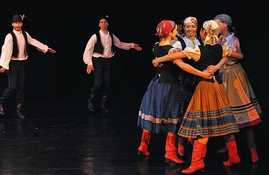 Sieben auf einen Streich (Foto: Matthias Bormann) Sieben auf einen Streich (Foto: Matthias Bormann)