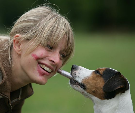 Aber bitte ohne Hund (Foto: privat) Aber bitte ohne Hund (Foto: privat)