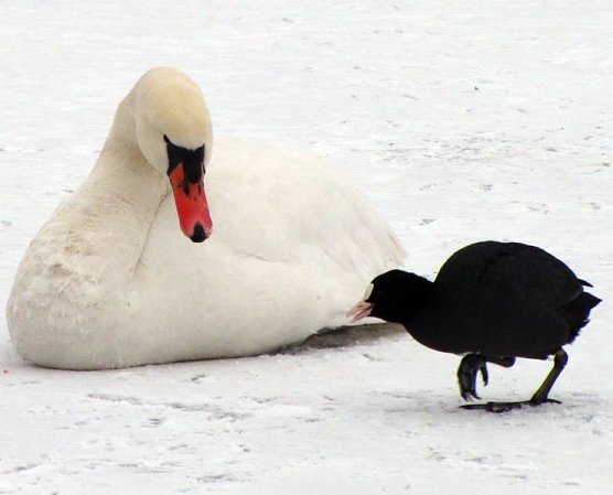 Nicht angefroren (Foto: privat) Nicht angefroren (Foto: privat)