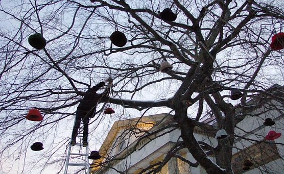 Hut am Baum (Foto: Wolfgang Kurima Rauschning)