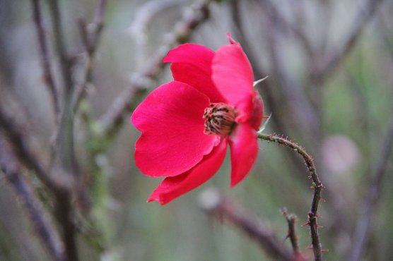 Wetterbild (Foto: Angelo Glashagel)