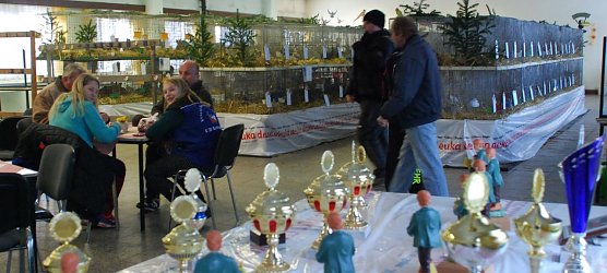 Ein bew&auml;hrter Ort f&uuml;r Ausstellungen und mehr: das "Haus der Vereine" in Siersleben. (Foto: Jochen Miche)