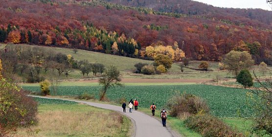 Unterwegs im S&uuml;dharz (Foto: Bodo Schwarzberg)